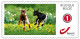 Delcampe - DUOSTAMP** / MYSTAMP** - Animaux De La Ferme / Dieren Op De Boerderij / Nutztiere / Farm Animals - SPECIAL EDITION - Hasen