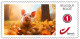 Delcampe - DUOSTAMP** / MYSTAMP** - Animaux De La Ferme / Dieren Op De Boerderij / Nutztiere / Farm Animals - SPECIAL EDITION - Lapins