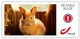 Delcampe - DUOSTAMP** / MYSTAMP** - Animaux De La Ferme / Dieren Op De Boerderij / Nutztiere / Farm Animals - SPECIAL EDITION - Rabbits