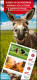 DUOSTAMP** / MYSTAMP** - Animaux De La Ferme / Dieren Op De Boerderij / Nutztiere / Farm Animals - SPECIAL EDITION - Vacas