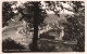 BELGIQUE - Hastière - Panorama - Carte Postale Ancienne - Hastiere