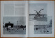 Delcampe - France Illustration N°96 02/08/1947 Circuit Breton/Guerre En Indonésie/En URSS/Antarctique/Birmanie/Balkans Liliu Maniu - Informations Générales