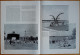 Delcampe - France Illustration N°96 02/08/1947 Circuit Breton/Guerre En Indonésie/En URSS/Antarctique/Birmanie/Balkans Liliu Maniu - Algemene Informatie