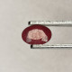 Rubis Traité (GF) De Madagascar - Ovale 0.83 Carat - 6.2 X 4.3 X 3.4 Mm - Robijn