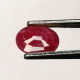 Delcampe - Rubis Traité (résidus) De Tanzanie- Ovale 1.20 Carat - 8.0 X 6.0 X 2.5 Mm - Rubis