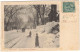 Canada - Québec - Montréal - Guy Street In Winter - Carte Postale Pour Rouïba (Algérie) - 27 Mai 1905 - Storia Postale