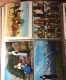 Delcampe - Costumi Tradizionali Collezione 105 Cartoline - Colecciones Y Lotes