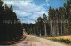 72582731 Arizona_US-State Kaibab National Forest - Autres & Non Classés