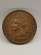 1 CENT INDIAN HEAD 1905 USA / TETE D'INDIEN - 1859-1909: Indian Head