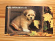 Phonecard Sweden - Dog - Svezia