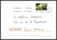 Delcampe - 95732 - Lot De 15 Courriers Lettres Enveloppes De L'année 2019 Divers Affranchissements En EUROS - Storia Postale