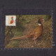 [Carte Maximum / Maximum Card /  Maximumkarte]  Isle Of Man 2016 | Pheasant, Game Bird - Anatre