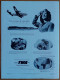 Delcampe - France Illustration N°107 18/10/1947 La Mecque/Thor Heyerdahl Kon-Tiki/Elections Municipales/Salon D'automne/Fezzan/Mode - Allgemeine Literatur