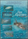 Delcampe - TAAF - Terre Australi E Antartiche Francesi Collezione MNH Cat. € 585,00 - Collections, Lots & Series