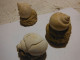 3 Escargots Sur Terre-provenance ? - Fossiles