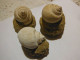 3 Escargots Sur Terre-provenance ? - Fossilien