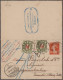 Algeria: 1901/1936: Small Collection Of 13 Covers, Picture Postcards And Postal - Lettres & Documents