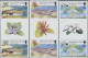 Delcampe - Ascension: 2001/2013. Collection Containing 76 IMPERFORATE Stamps (inclusive Som - Ascension (Ile De L')