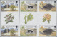 Delcampe - Ascension: 2001/2013. Collection Containing 76 IMPERFORATE Stamps (inclusive Som - Ascensione