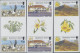 Delcampe - Ascension: 2001/2013. Collection Containing 76 IMPERFORATE Stamps (inclusive Som - Ascensione