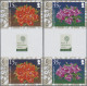 Delcampe - Ascension: 2001/2013. Collection Containing 76 IMPERFORATE Stamps (inclusive Som - Ascension (Ile De L')