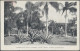 Delcampe - Queensland - Postal Stationery: 1910, Black & White Views, 1d Red Postcard (H&G - Covers & Documents