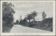 Delcampe - Queensland - Postal Stationery: 1910, Black & White Views, 1d Red Postcard (H&G - Briefe U. Dokumente