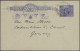 Western Australia - Postal Stationery: 1900/1912 Ca., Collection With Ca.45 Used - Autres & Non Classés