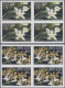 Delcampe - Belize: 1995/2012. Collection Containing 101 IMPERFORATE Stamps (inclusive S/s, - Belice (1973-...)