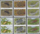 Delcampe - Belize: 1995/2015. Collection Containing 6720 IMPERFORATE Stamps Concerning Vari - Belize (1973-...)