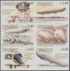 Delcampe - Dominica: 1999/2009. Collection Containing 3672 IMPERFORATE Stamps And 56 IMPERF - Dominique (...-1978)