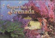 Delcampe - Grenada: 2000/2014. Collection Containing 939 IMPERFORATE Stamps And 34 IMPERFOR - Granada (...-1974)