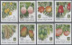 Delcampe - Virgin Islands: 2002/2007. Collection Containing 144 IMPERFORATE Stamps (inclusi - British Virgin Islands