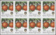 Virgin Islands: 2002/2008. Collection Containing 1319 IMPERFORATE Stamps And 20 - British Virgin Islands