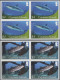 Delcampe - Cayman Islands: 2000/2013. Collection Containing 1066 IMPERFORATE Stamps (inclus - Iles Caïmans