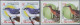 Delcampe - Micronesia: 2000/2009. Collection Containing 110 IMPERFORATE Stamps (inclusive C - Micronésie