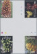 Delcampe - Micronesia: 2000/2009. Collection Containing 110 IMPERFORATE Stamps (inclusive C - Micronesië