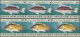 Delcampe - Papua New Guinea: 2003/2005. Collection Containing 655 IMPERFORATE Stamps And 5 - Papoea-Nieuw-Guinea