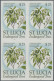 St. Lucia: 1990/1996. Collection Containing 4705 IMPERFORATE Stamps Concerning T - Ste Lucie (...-1978)