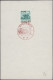 Thematics: Railway: 1957/1982, Railway Motif Collection On A Few Thousand Covers - Treinen