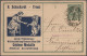 Thematics: Animals-dogs: 1900/2000 (ca.), Sophisticated Collection/balance Of Ap - Hunde