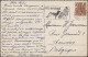 Thematics: Animals-dogs: 1900/2000 (ca.), Sophisticated Collection/balance Of Ap - Perros