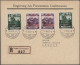 Liechtenstein - Dienstmarken: 1932/1935, Lot Mit 21 Sauberen Dienstbriefen Mit M - Servizio