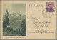 Delcampe - Liechtenstein - Ganzsachen: 1892/1984, Umfangreiche Sammlung Von Ca. 550 Ganzsac - Postwaardestukken