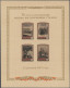 Sowjet Union: 1943-1991 (c.): Specialized Mint Collection On Hingeless Pages In - Ungebraucht