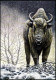 Cartes Maximum / Maximumkaart** - Blanco - BUZIN - BIG5 - Glouton - Bison - Lynx - Ours - Loup - 2011-..