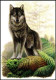 Cartes Maximum / Maximumkaart** - Blanco - BUZIN - BIG5 - Glouton - Bison - Lynx - Ours - Loup - 2011-..