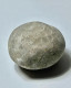 Cystoids - Rare Fossils-Echinosphaerites - 5 Cm - 5 Cm - Fossils