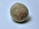 Delcampe - Cystoids - Rare Fossils-Echinosphaerites - 5 Cm - 5 Cm - Fossilien