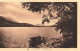 FRANCE - Laffrey - Le Grand Lac - Carte Postale Ancienne - Laffrey